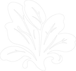 spinach outline