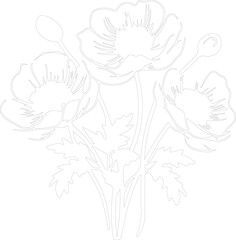 Obraz premium anemone outline