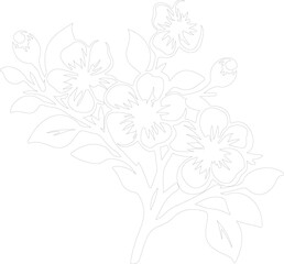 apple blossom outline