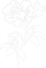 azalea outline