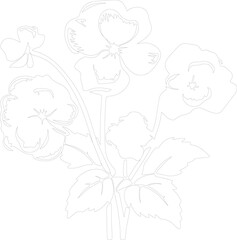 begonia outline