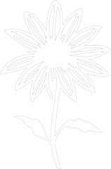 black-eyed Susan outline