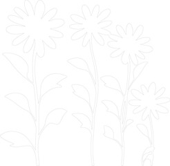black-eyed Susan outline