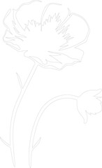 buttercup outline