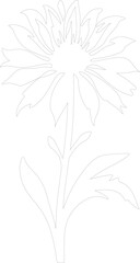 cornflower outline