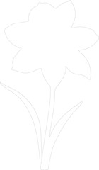 daffodil outline