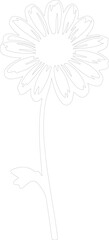 daisy outline