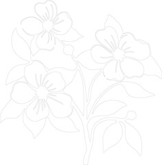 dogwood outline