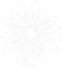 edelweiss outline
