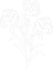 freesia outline