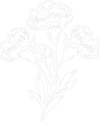 freesia outline