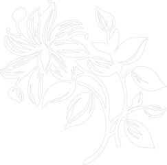 honeysuckle outline