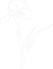 Obraz premium iris outline