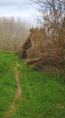 Un sentiero in campagna immersa  nella vegetazione, Italia