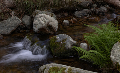 arroyo