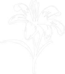 lily outline