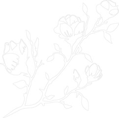 magnolia outline