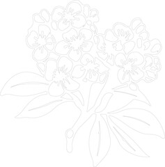 mountain laurel outline