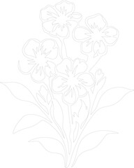 phlox outline