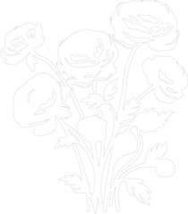ranunculus outline