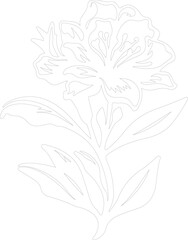 rhododendron outline