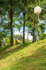 Tropical rural landscape. Garden. Trees. Palm trees. Blue sky with clouds. Space for advertising. Vertical.