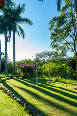 Tropical rural landscape. Garden. Trees. Palm trees. Blue sky with clouds. Space for advertising. Vertical.