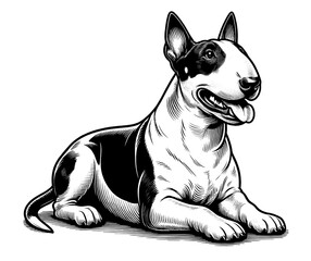 Hand drawn Bull Terrier in full-body, vector sketch isolated on white background.	
