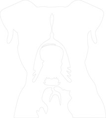 American Bulldog outline