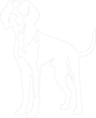 Obraz premium American Foxhound outline