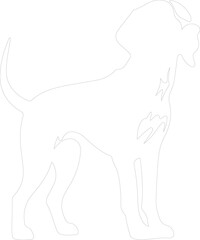 Fototapeta premium American Foxhound outline