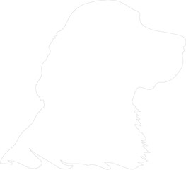 American Water Spaniel outline