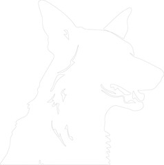 Beauceron outline