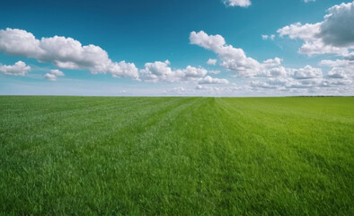 Obraz premium Panoramic Natural Landscape Green Grass Field, Blue Sky, and Mountains in Background, Summer Spring Meadow