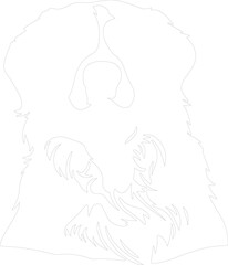 Bernese Mountain Dog outline
