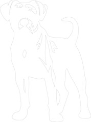 Boxer outline