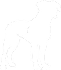 Obraz premium Boxer outline