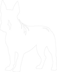 Obraz premium Bull Terrier outline