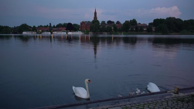 Abendstimmung in Malchow - Schwanenfamilie auf dem Malchower See vor dem Kloster