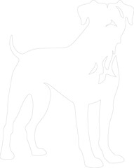 Obraz premium Dogo Argentino outline
