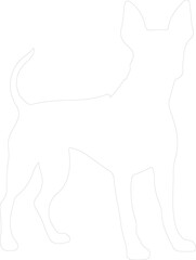 Obraz premium German Pinscher outline