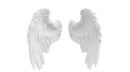 Obraz premium white angel wing isolated on transparent