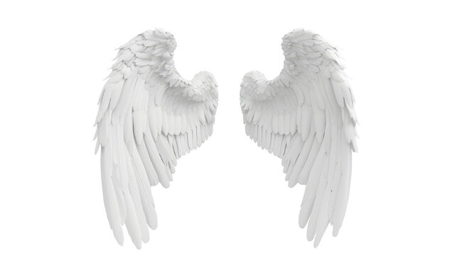 white angel wing isolated on transparent