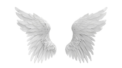 white angel wing isolated on transparent