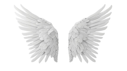 white angel wing isolated on transparent