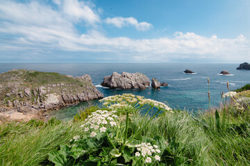 Paisaje de mar. playa