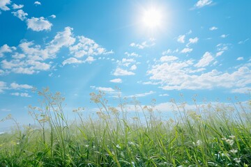Obraz premium Image of a clear blue sky without a single cloud on a sunny day