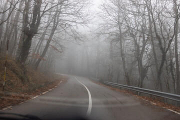 road in the forest with fog