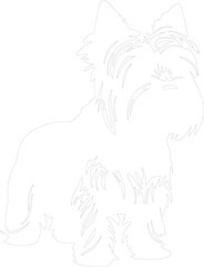 Obraz premium Silky Terrier outline
