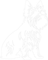 Obraz premium Silky Terrier outline